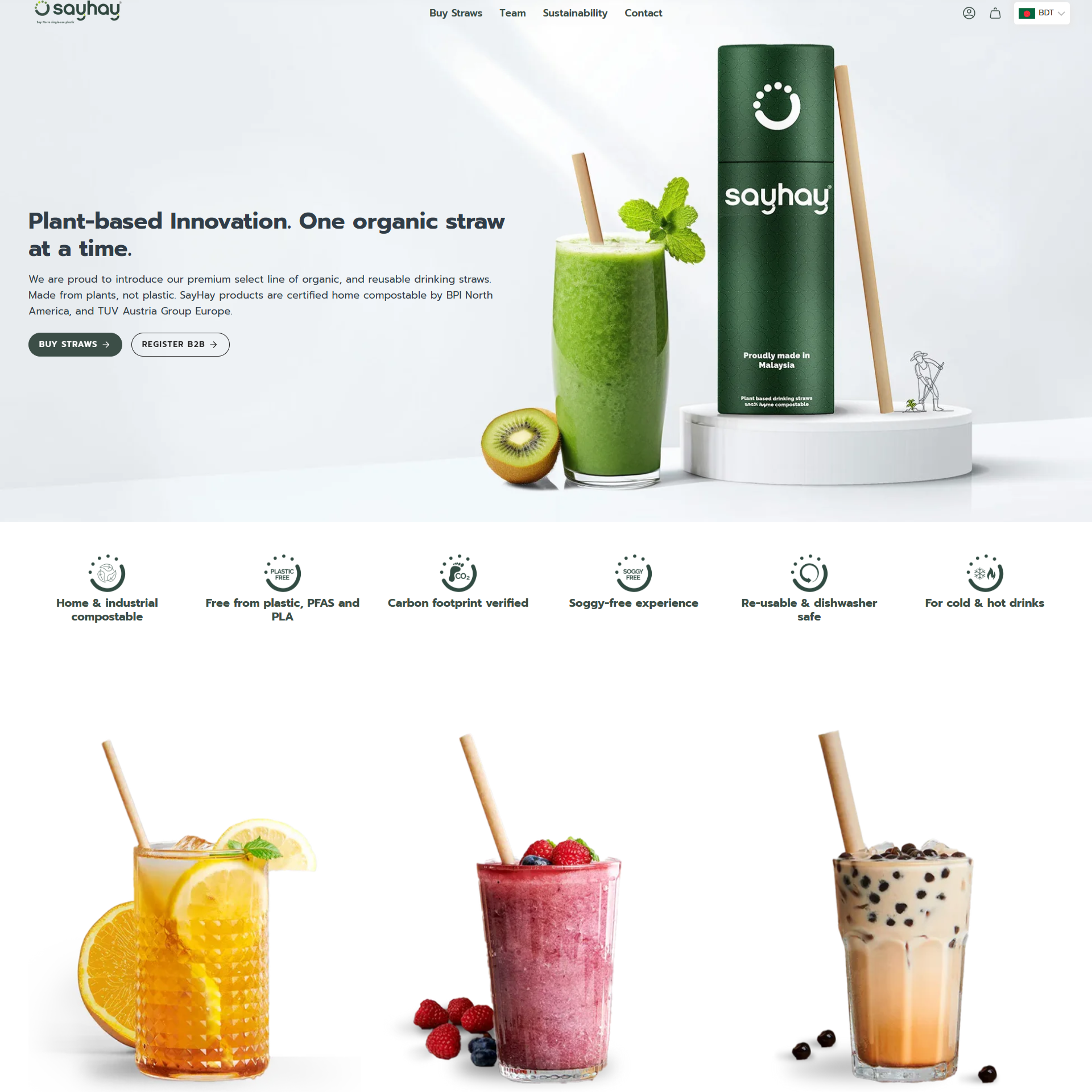 Screenshot of SAYHAY — Sustainable Biomaterials